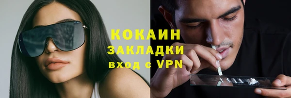 ALPHA PVP Ельня