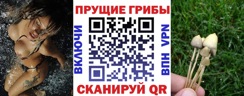 Галлюциногенные грибы мухоморы  Зеленодольск 